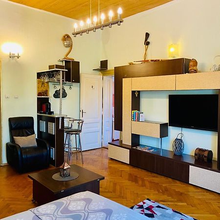 Central 2 Bedrooms Apartment 布拉索夫 外观 照片