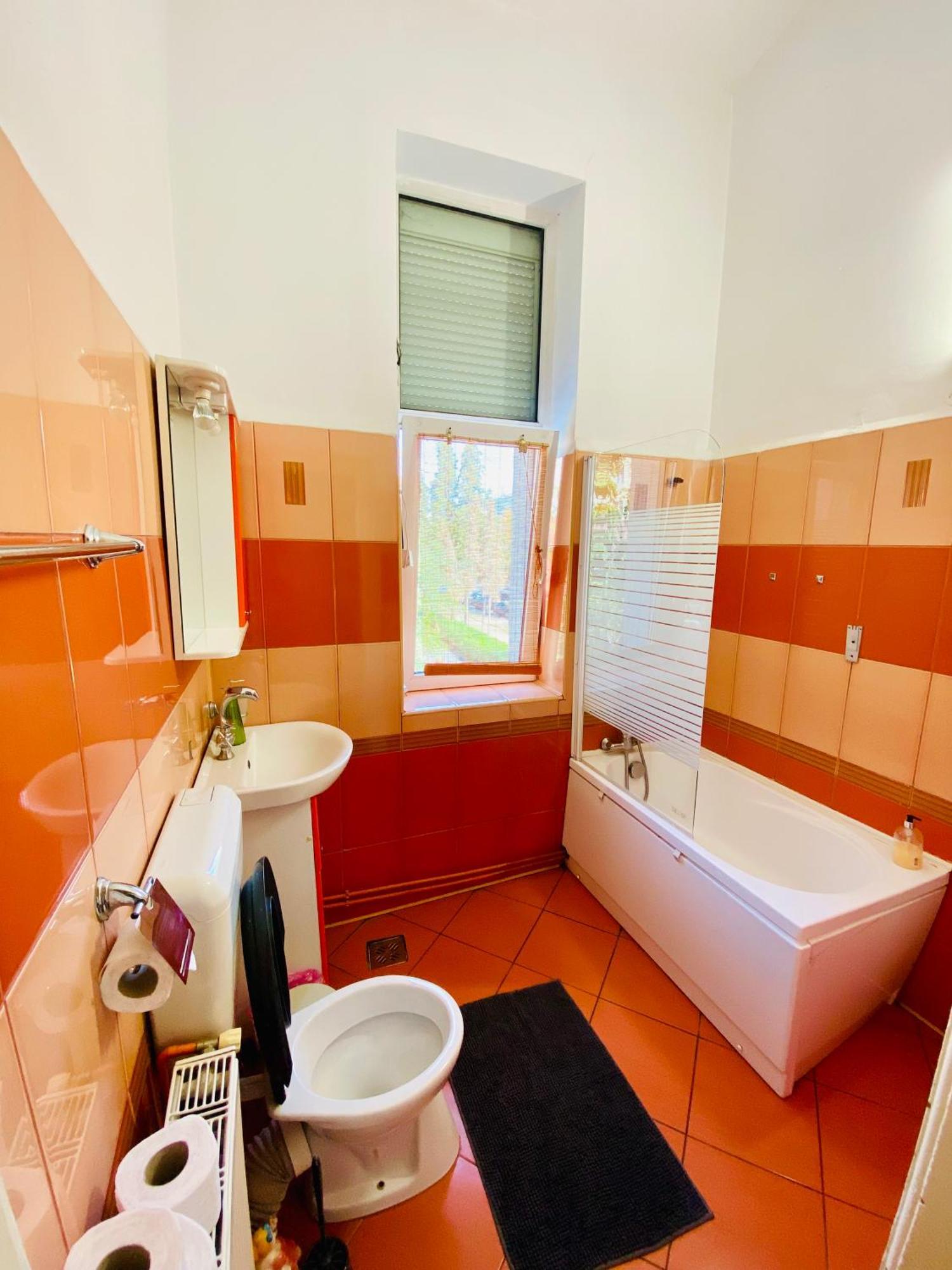 Central 2 Bedrooms Apartment 布拉索夫 外观 照片
